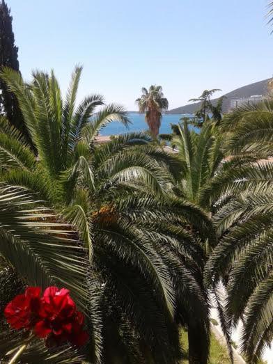 Apartmani i sobe Goca - Housity