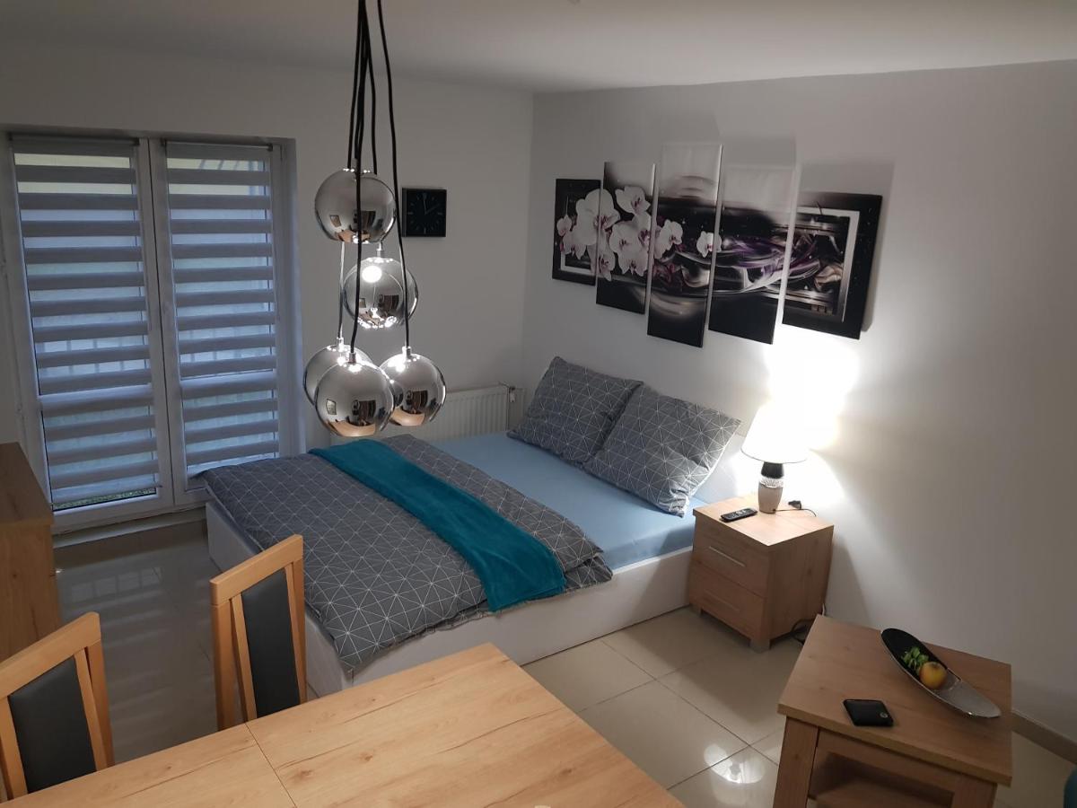 Private Room REST studio - Kameralny Bytom Szombierki 2-Room Shared Apartment - Hizvo