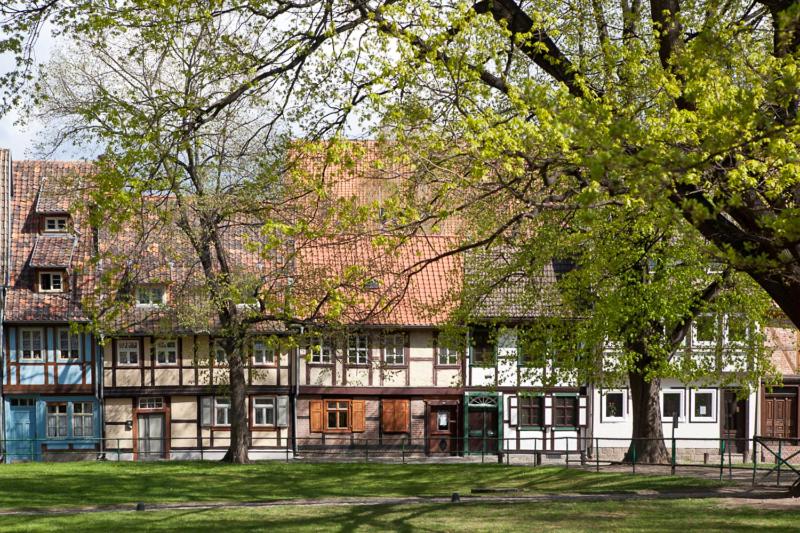 Hotel Waldoase Hirschbüchenkopf - Housity