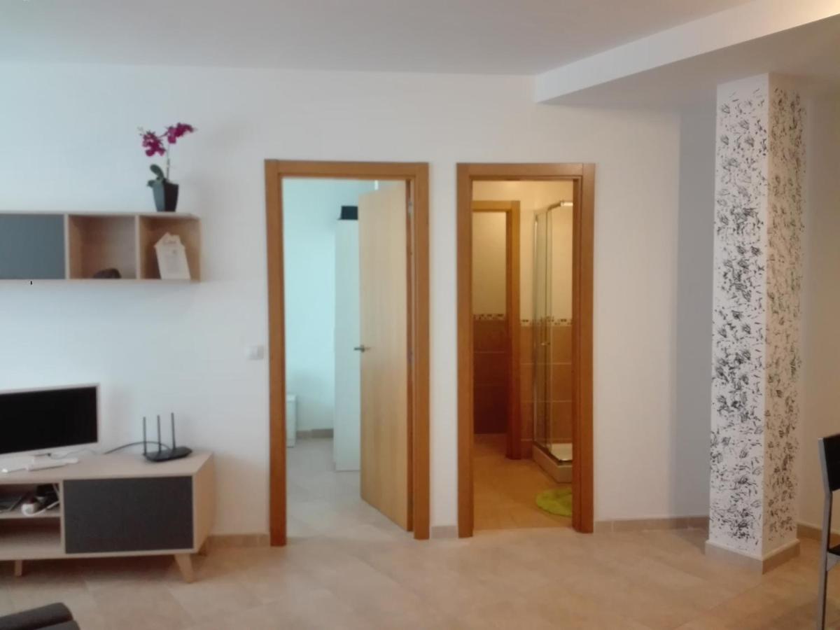cozy flat - Housity