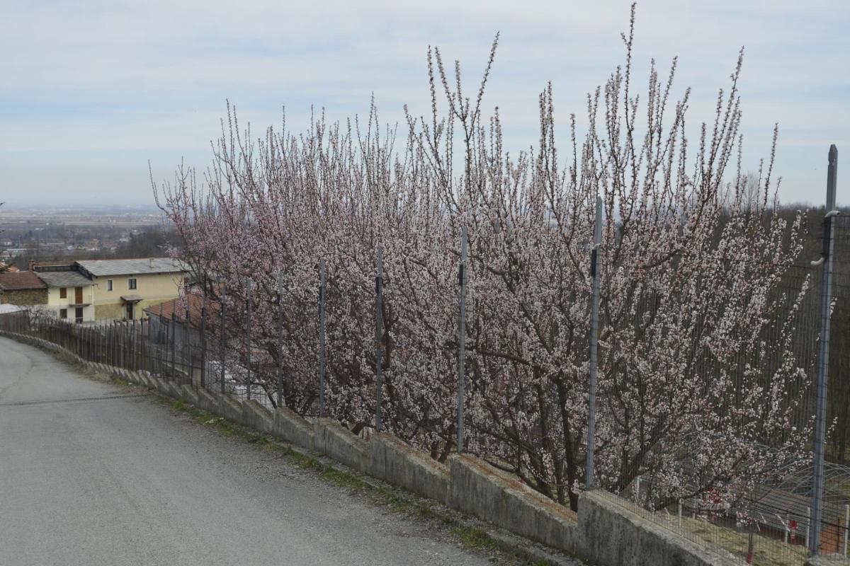 Agriturismo Ai Prüsot - Housity