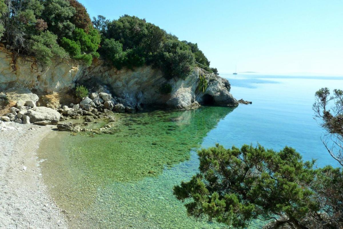 Holiday house Punta Blue & Orange 5m from the sea, island Cres - Housity