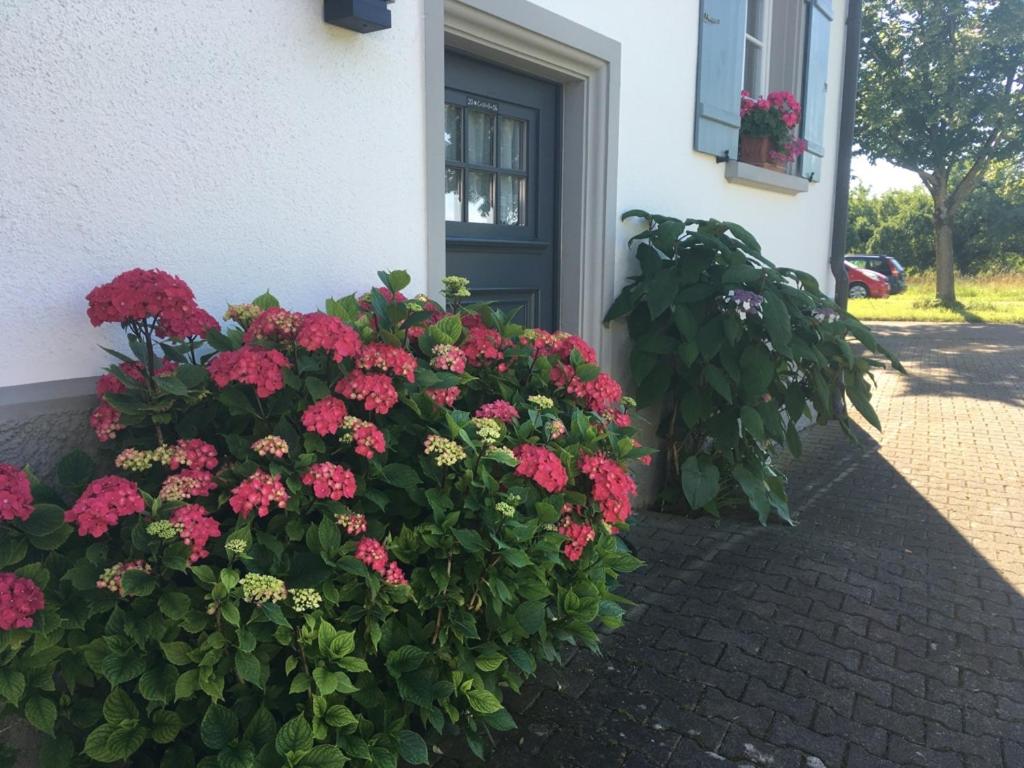 Bed & Breakfast mit Charme- Aux2platanes- Außergewöhnlich schön am Bodensee - Housity