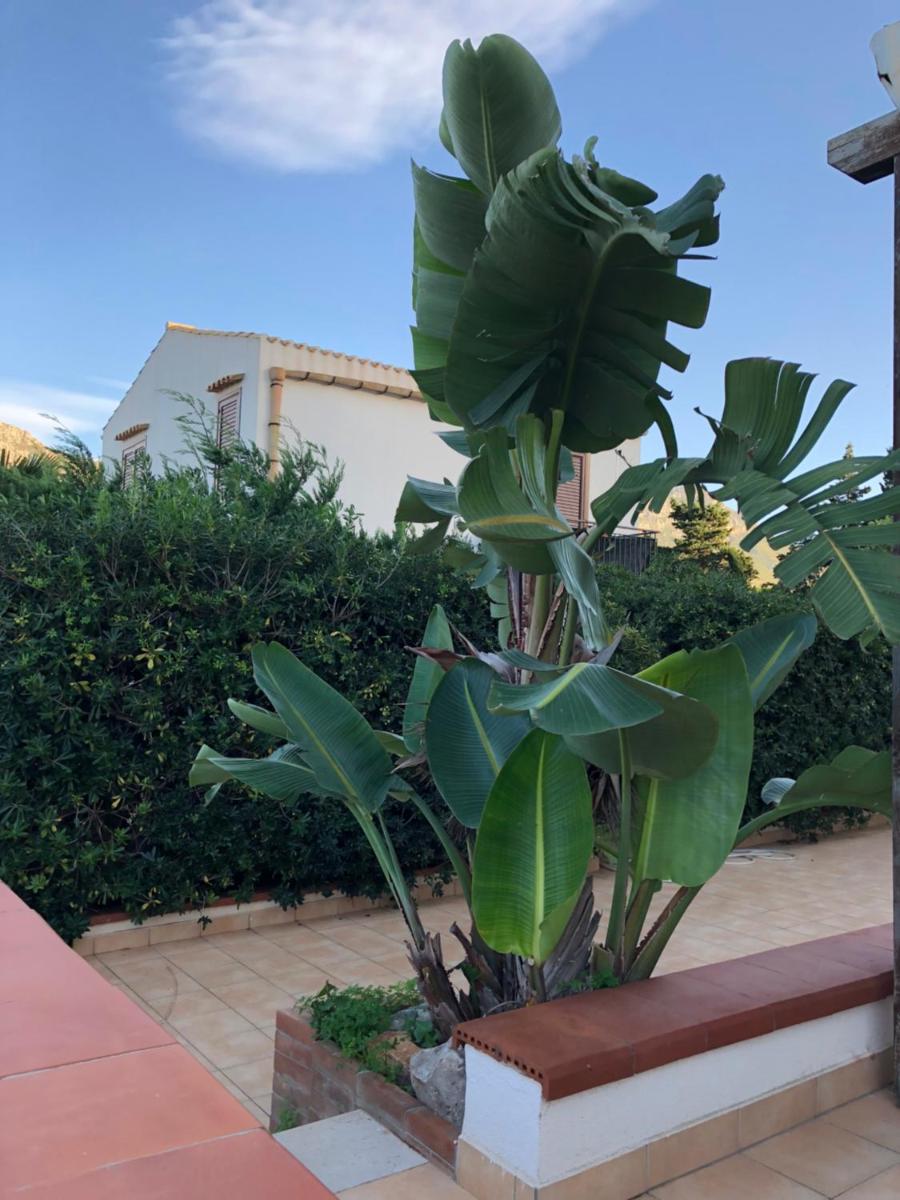 Villa a San Vito lo Capo Minaudo - Housity