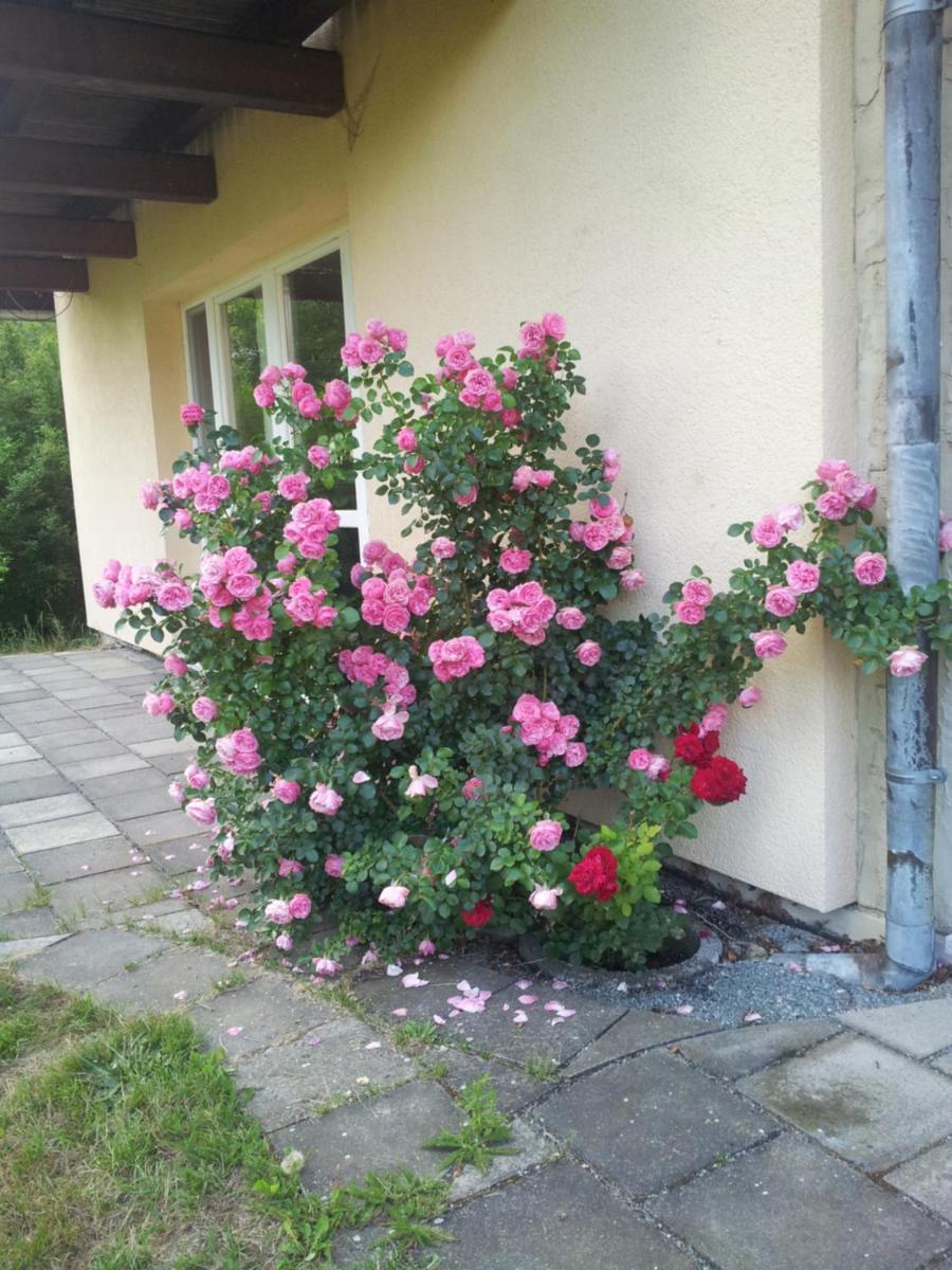 Ferienwohnung am Spreeradweg - Housity