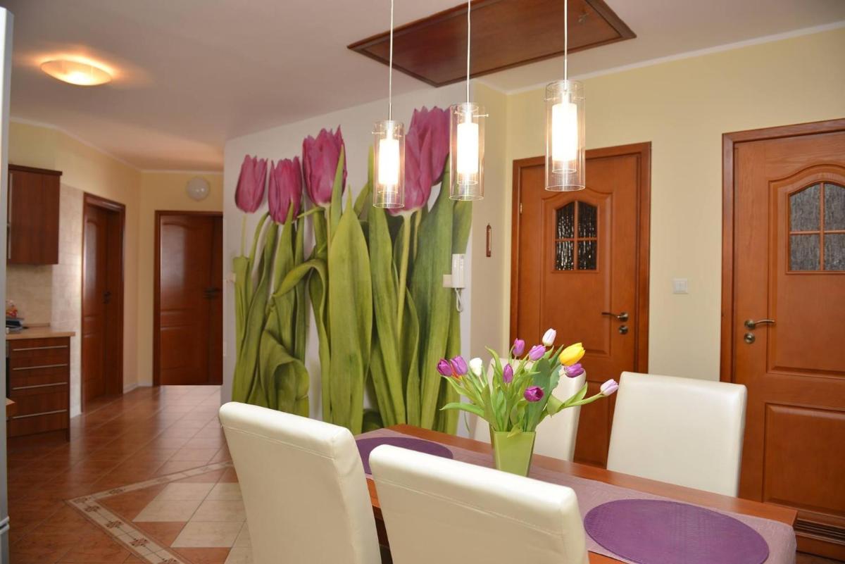 Tulip House - Housity