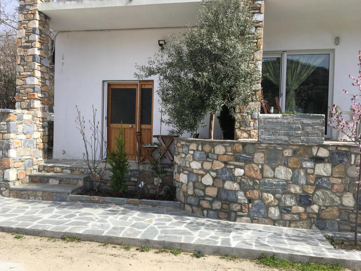 Joges Apartment - Housity