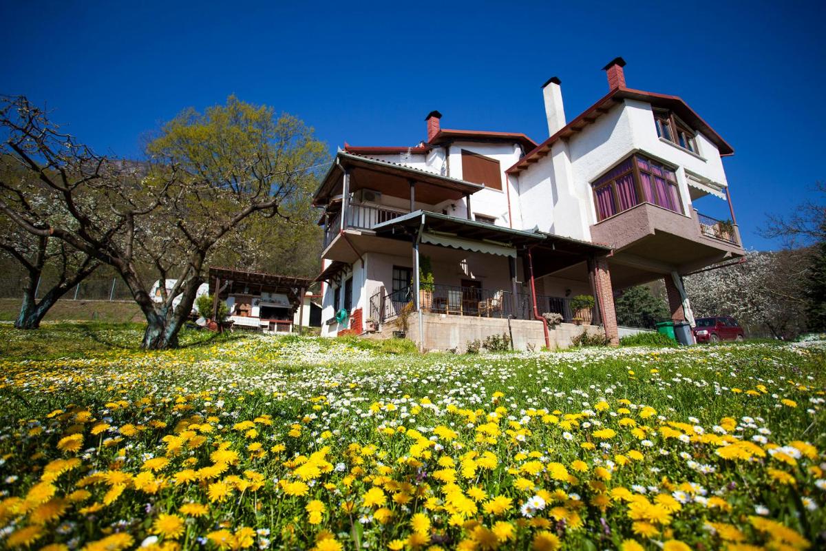 Militsa Guesthouse - Housity