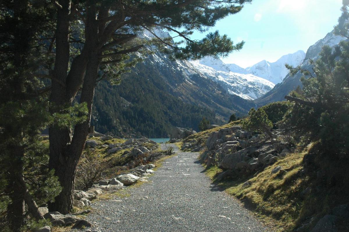 Paysage naturel près de l'appart'hôtel