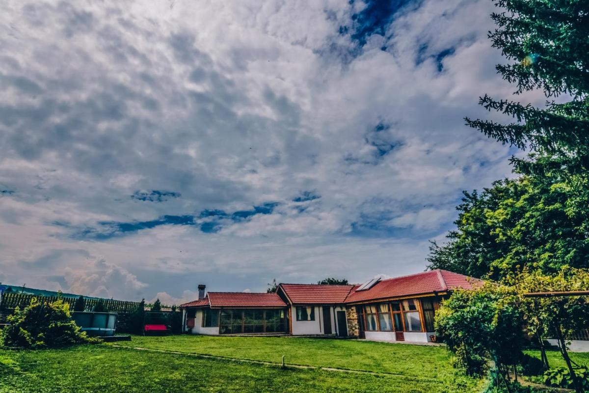 Завоя - Hizvo