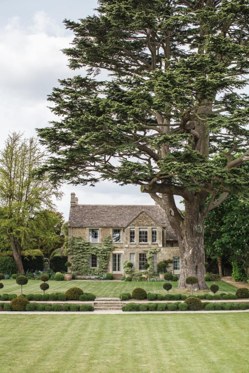 Thyme - Housity