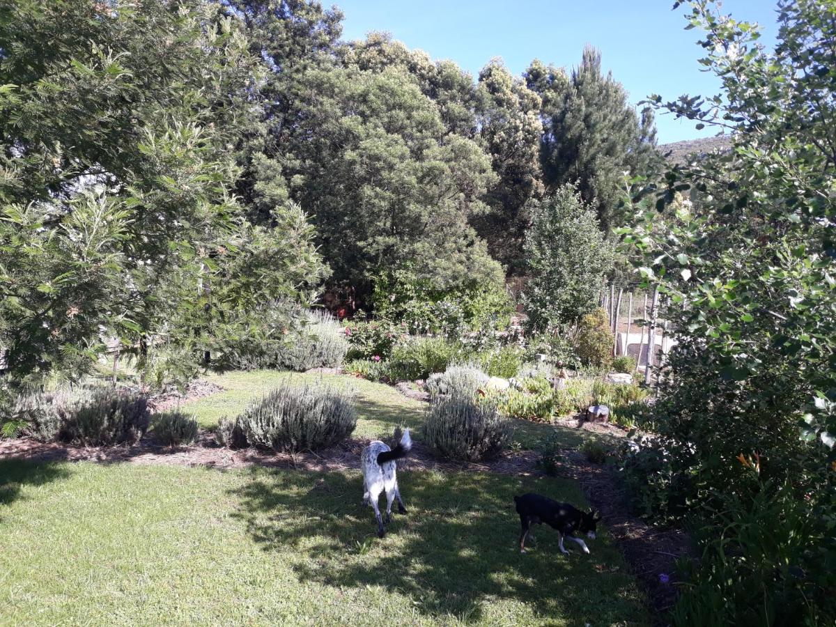 Cornelia's Field - Housity