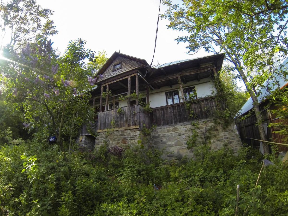 Casa Zmeura - Housity