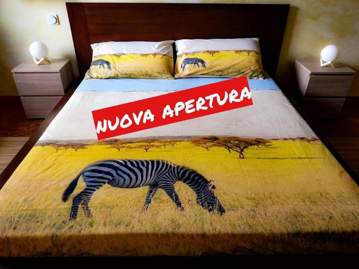 Lune d'Africa - Housity
