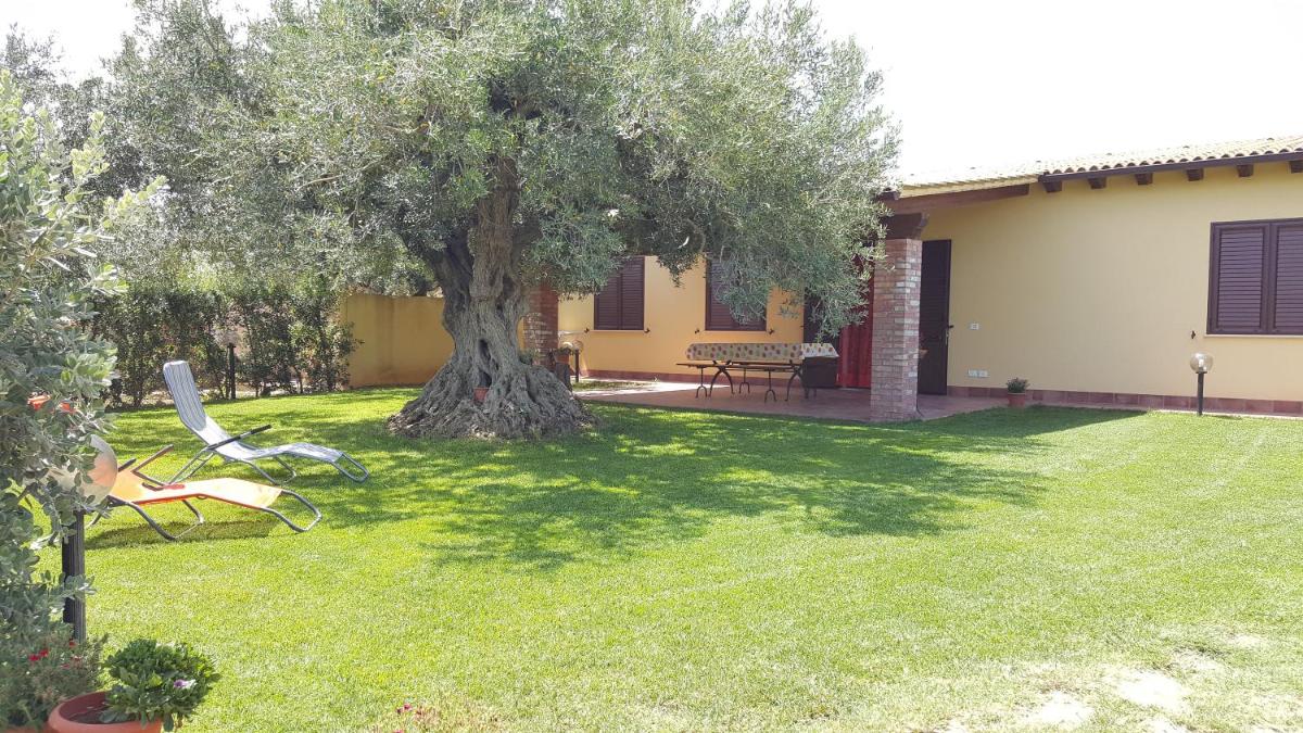House surrounded by olive trees - Housity