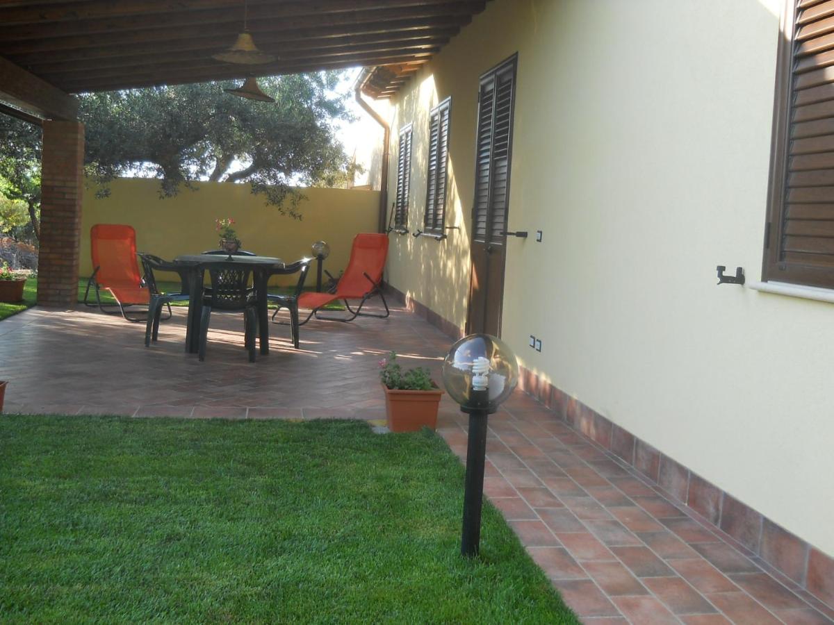 House surrounded by olive trees - Housity