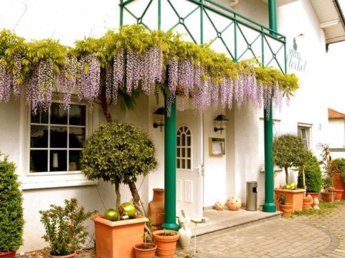 Hotel Sterkel - Housity