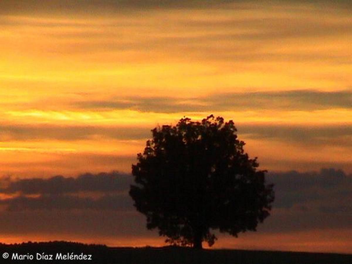 Amanecer o atardecer desde la posada u hostería o alrededores