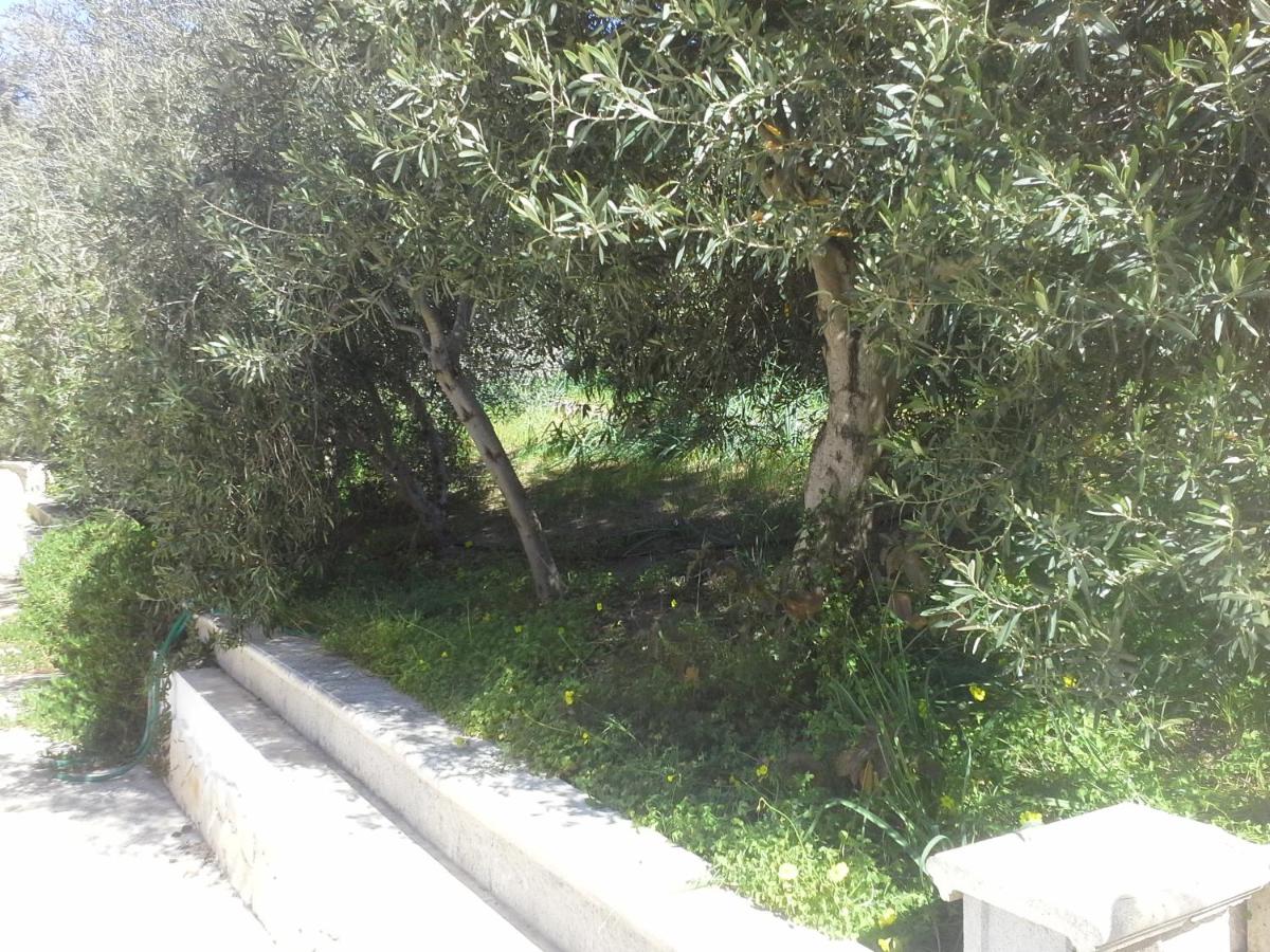 Villa Solinas - Housity