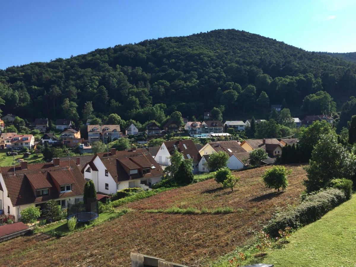 Ferienwohnungen Tauscher - Housity