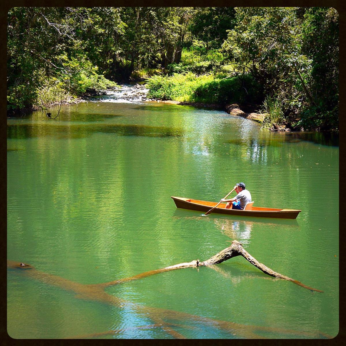Figtree Getaway - Housity