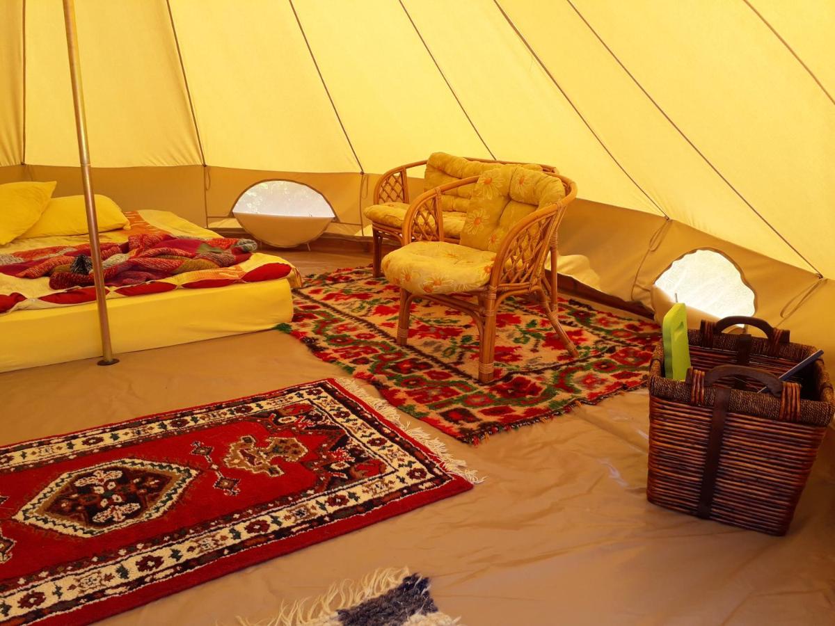 Hotelul de Bumbac-Crapul Furios - Housity