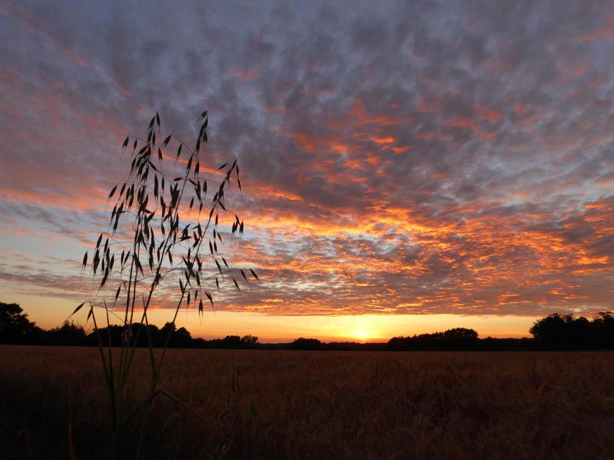 Mollett's Farm - Housity