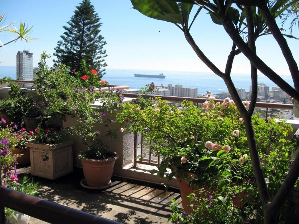 123 Ocean View Drive Apartment - Housity