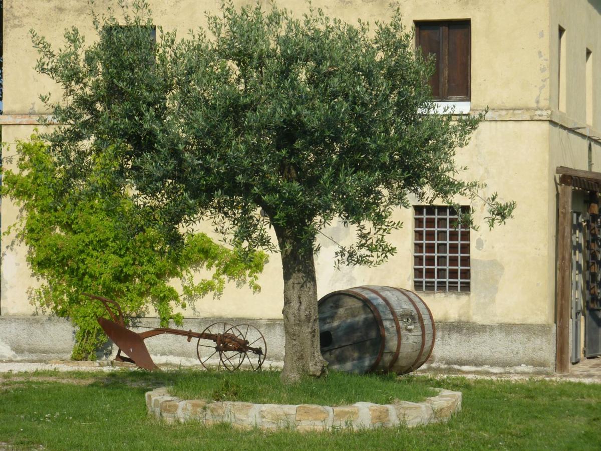 Casale Oliva in a landscape of oaks, olive e cherry trees - Housity