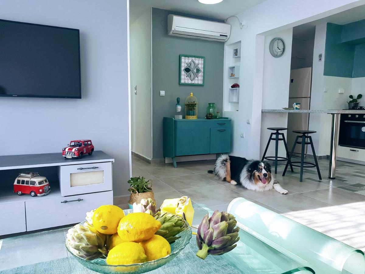 Artichoke Boutique - Housity