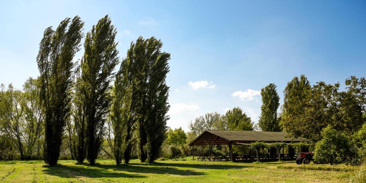 Masseria GiòSole - Housity