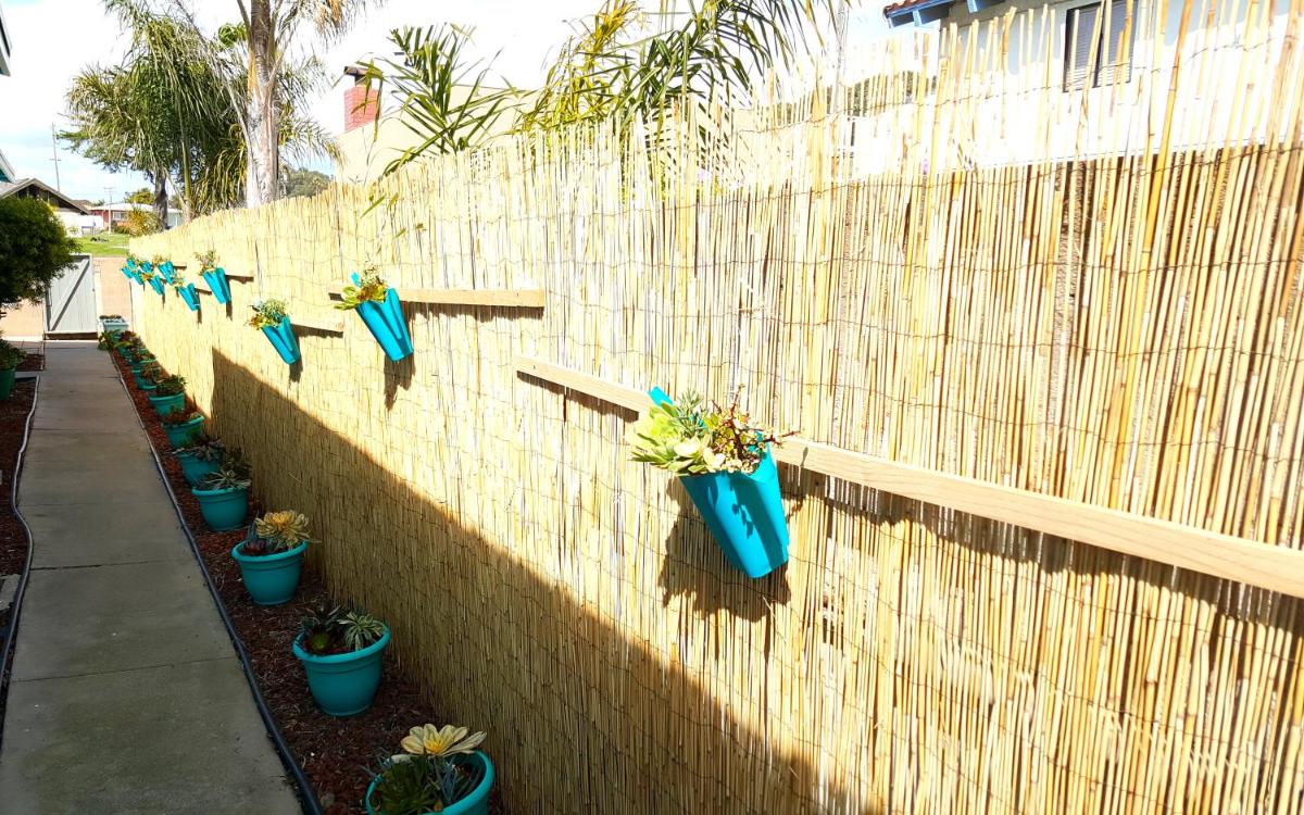 Oceano: Short walk to beach, 4 br, 2 bath, private house! Across street from park & pond - Housity