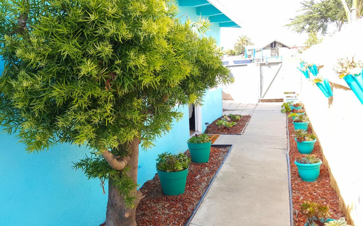 Oceano: Short walk to beach, 4 br, 2 bath, private house! Across street from park & pond - Housity