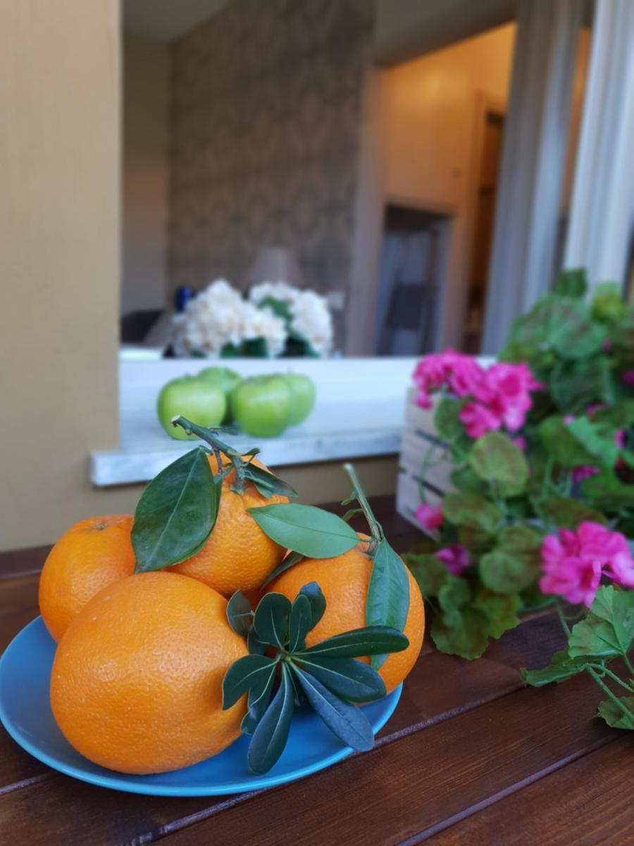 Versilia Apartment - Hizvo