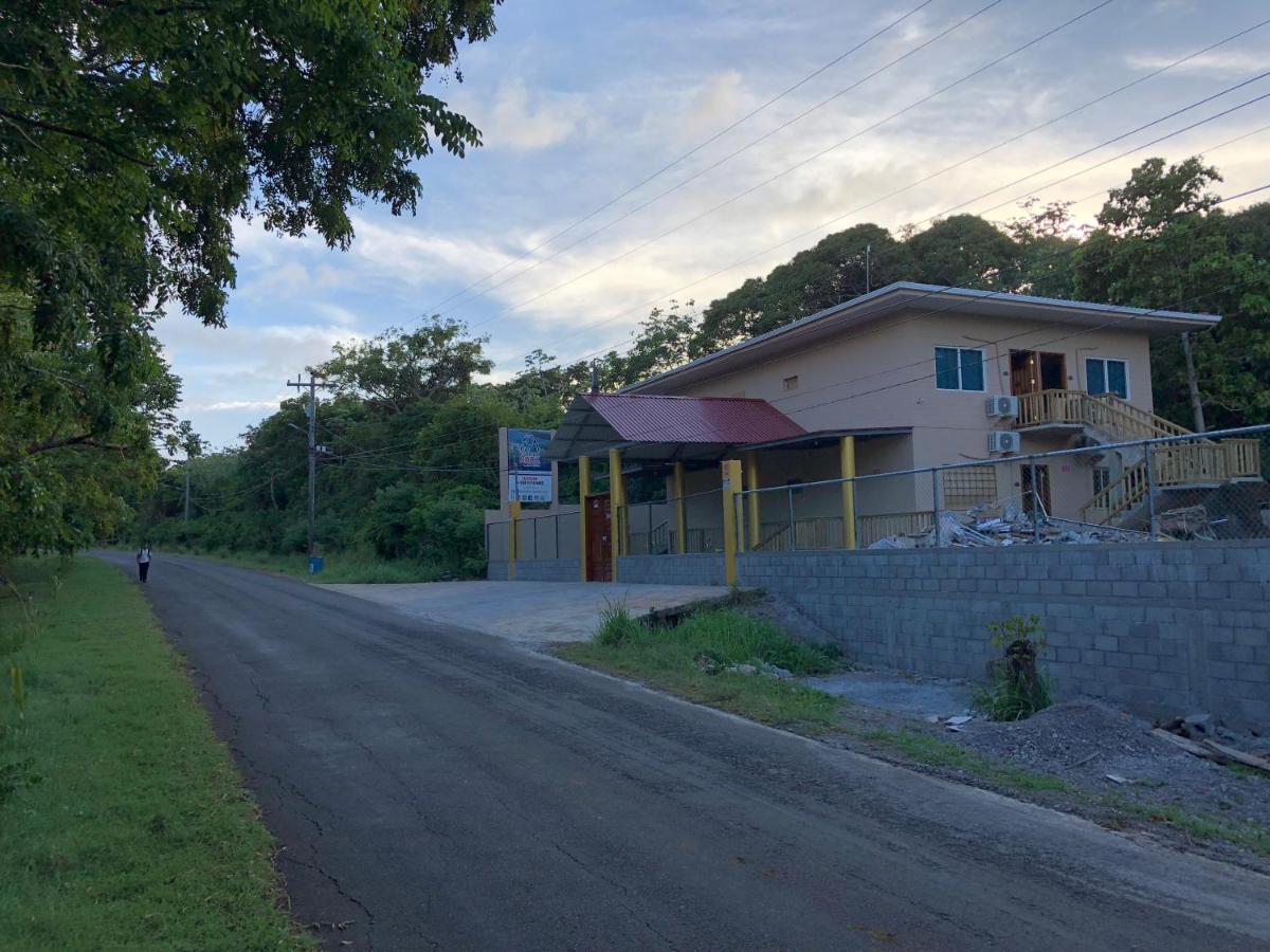 Pirates Rock 101 - Housity