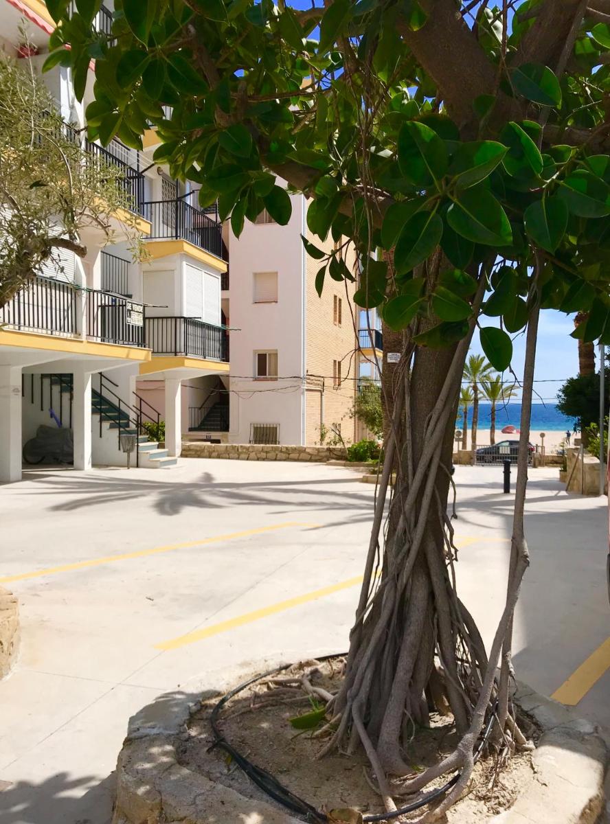 Neptuno on the Beach - Housity