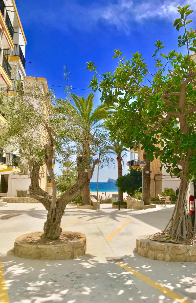 Neptuno on the Beach - Housity