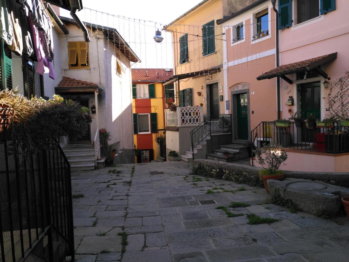 Il Piccolo Lord - Housity