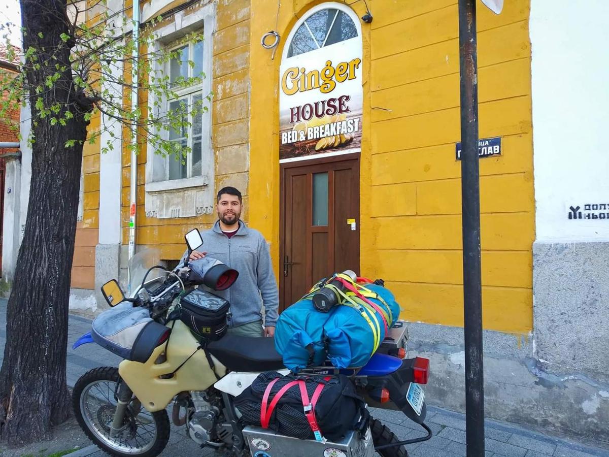 Hostel Ginger House - Housity