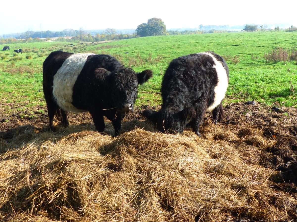 Kristiansminde Farm Holiday - Housity