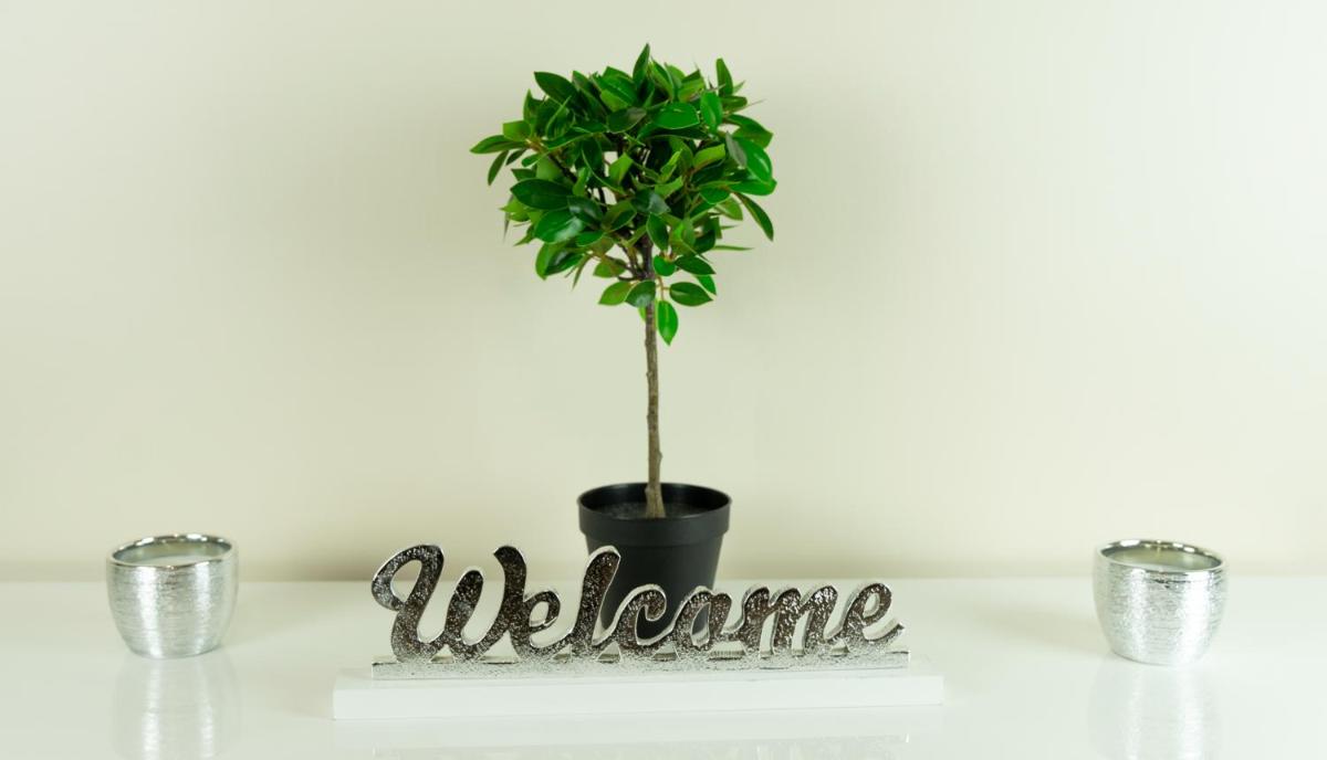 Glamour Apartman - Housity