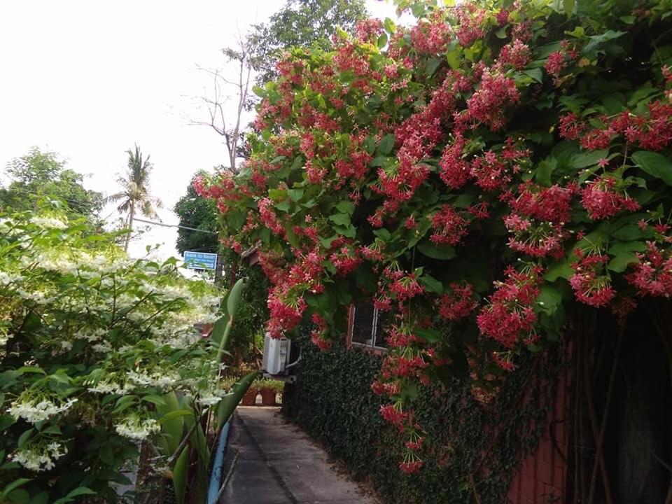 Rim Than View Resort - Housity