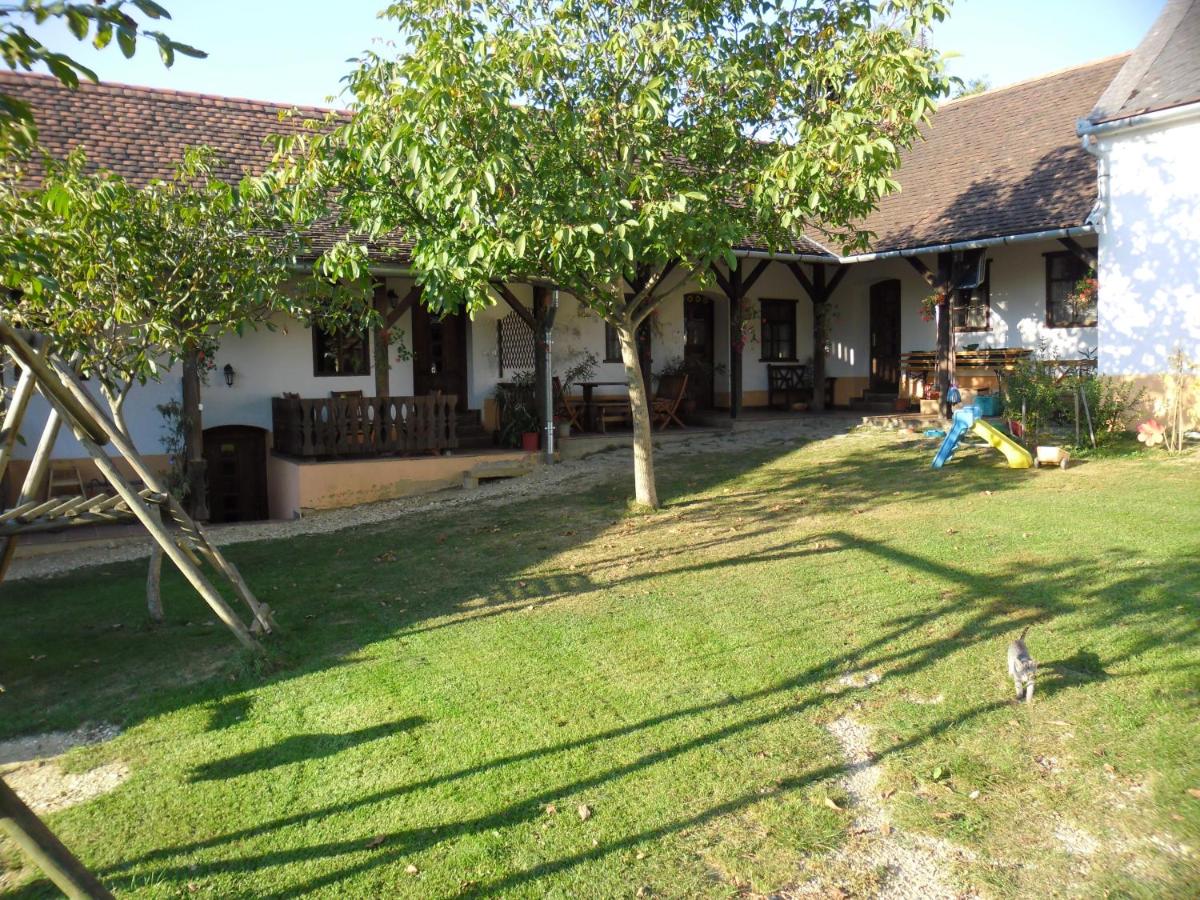 Ferencz Porta - Housity