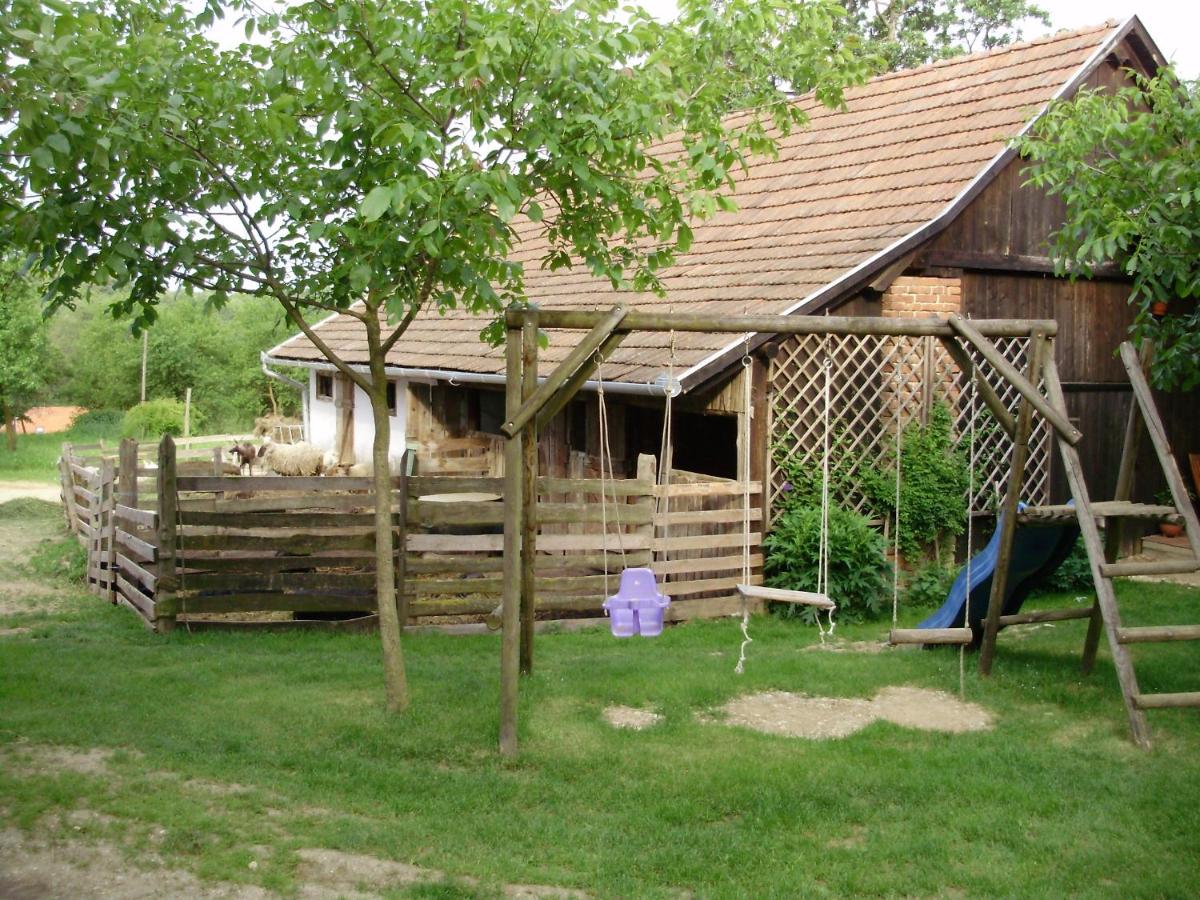 Ferencz Porta - Housity