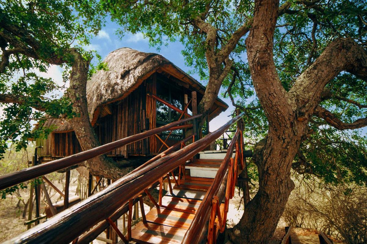 Pezulu Tree House Lodge - Housity