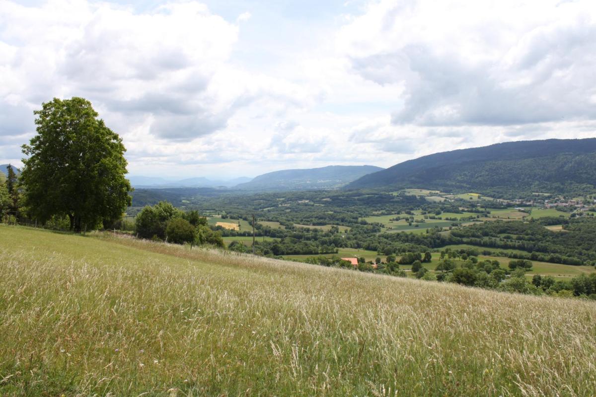 Suitetrails - Chez Louve Bleue