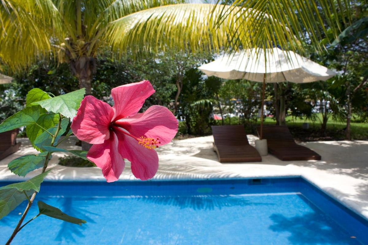 Sotavento Hotel & Yacht Club - Housity