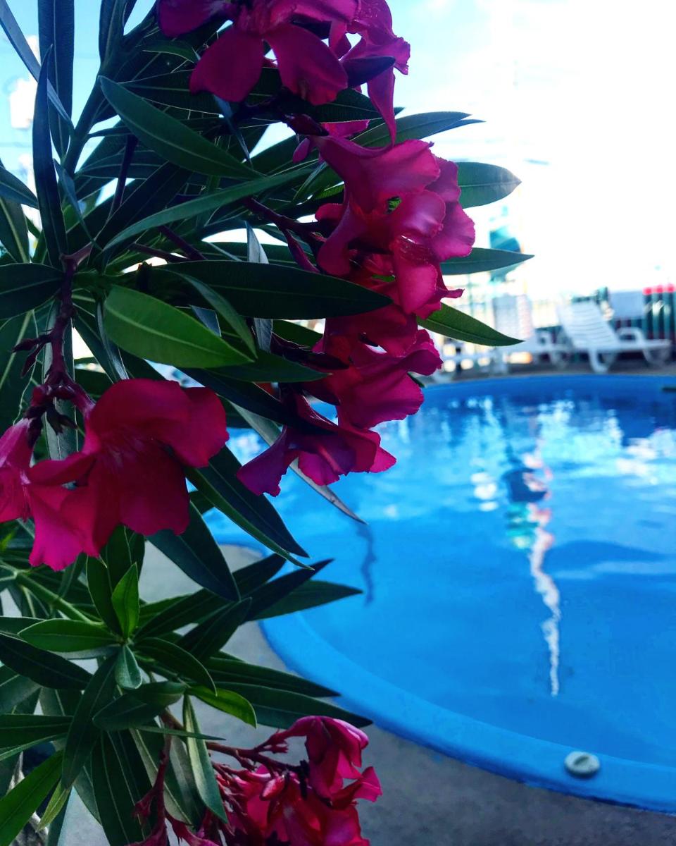 Sea Scape Inn - Housity