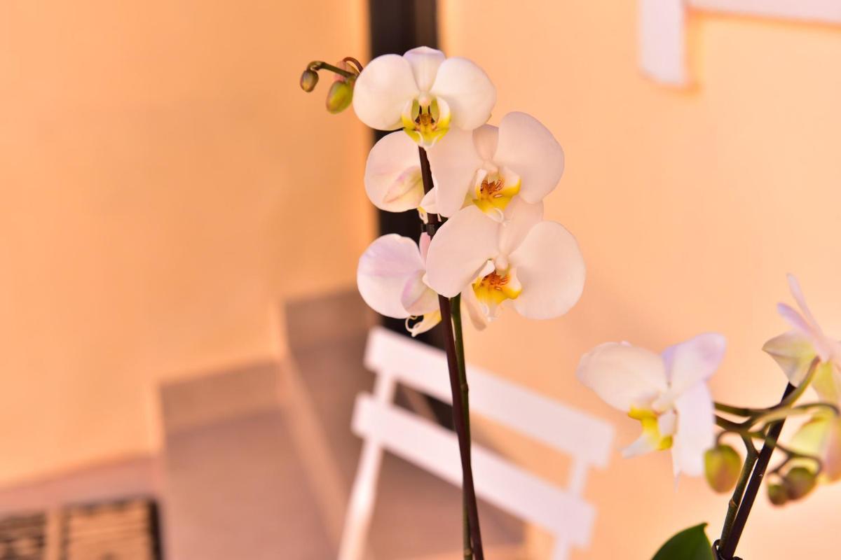 Casa Soare - Ultracentral GuestHouse - Housity