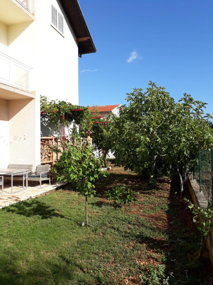Apartment Dalmatien - Housity